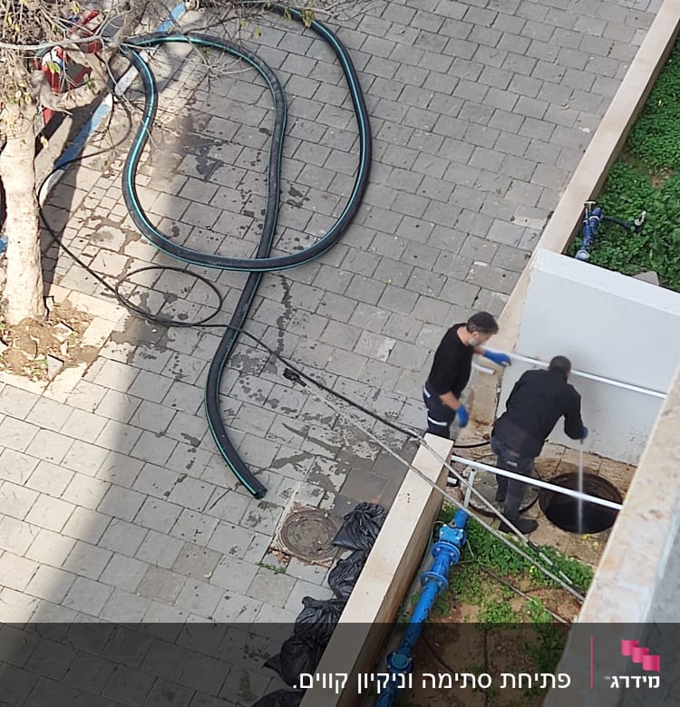 שני אנשים עובדים עם צינור ליד פתח ביוב